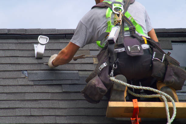 Best Roof Maintenance Services  in Roessleville, NY