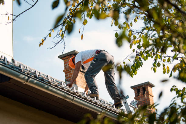 Best Residential Roofing Contractor  in Roessleville, NY