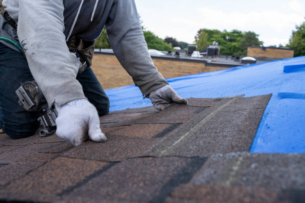 Best Roof Waterproofing Services  in Roessleville, NY