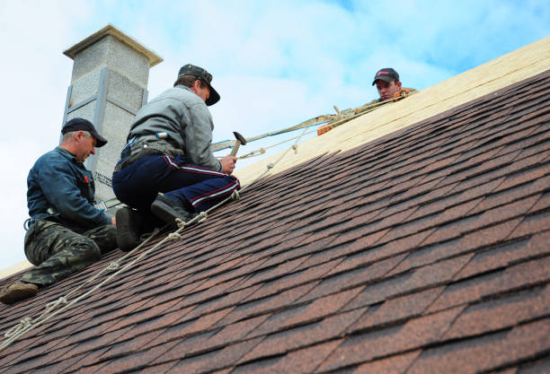 Best Local Roofing Companies  in Roessleville, NY